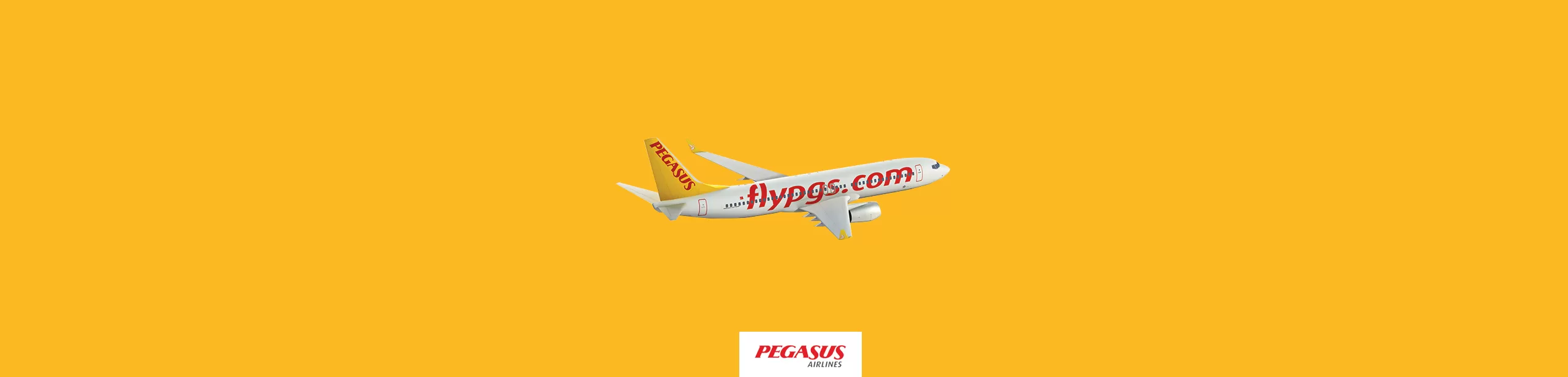 Pegasus proje görseli