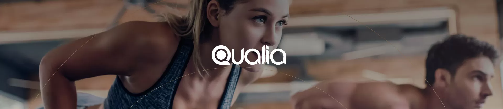 Qualia projesi